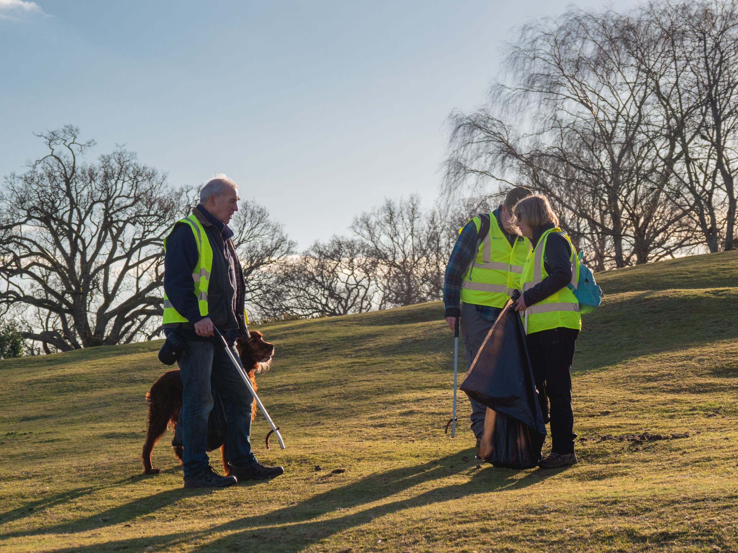 New-Forest-Ambassadors-picking-litter-scaled