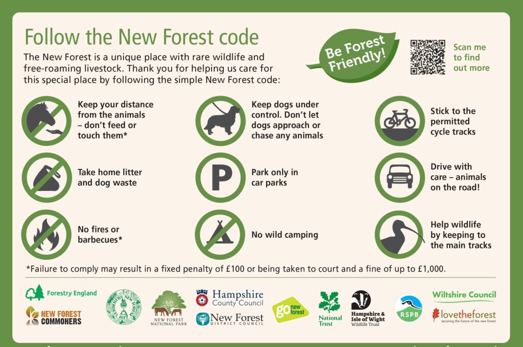 The New Forest code.