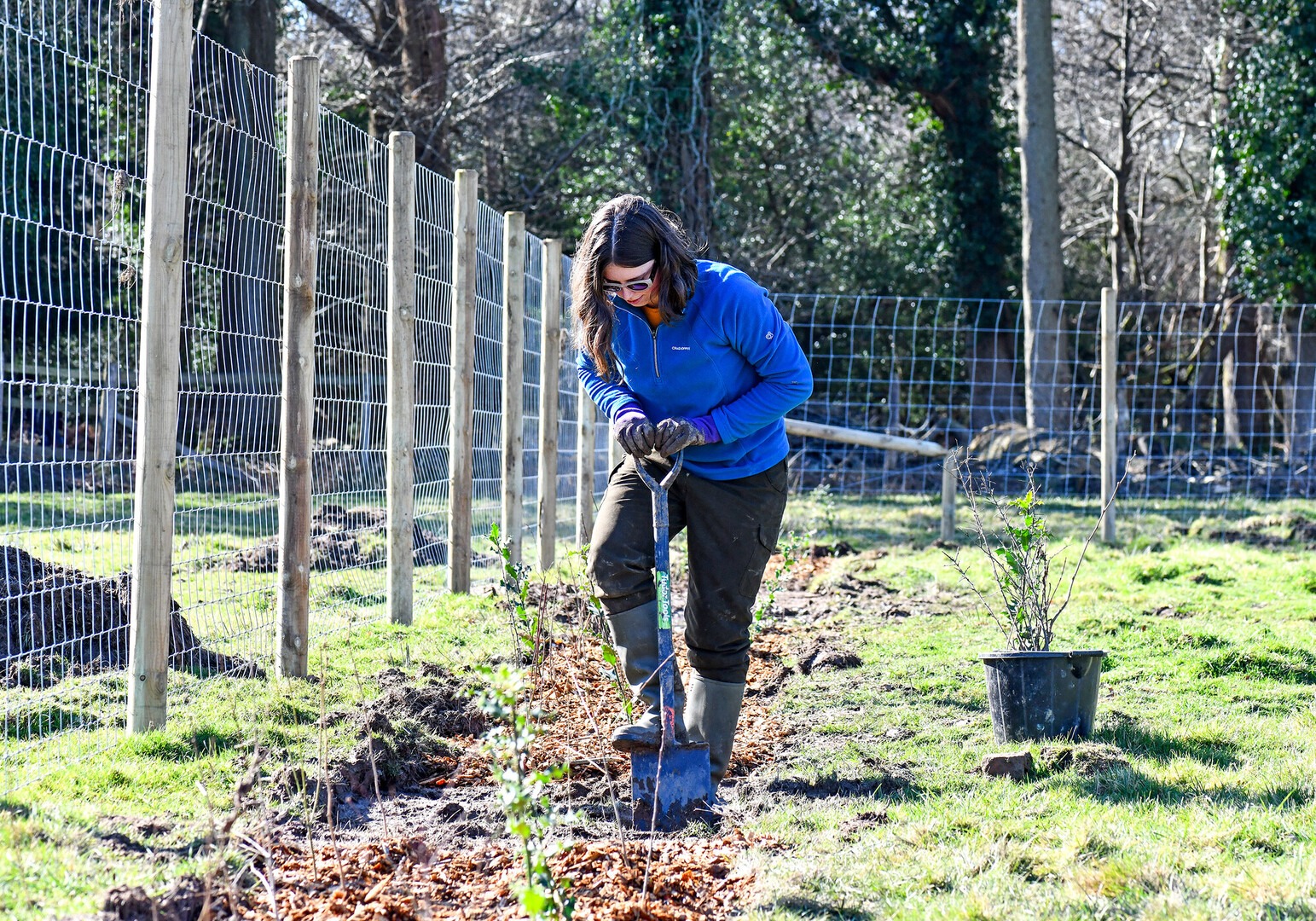 A young woman centred in the photo digs into the ground during a community tree planting event.