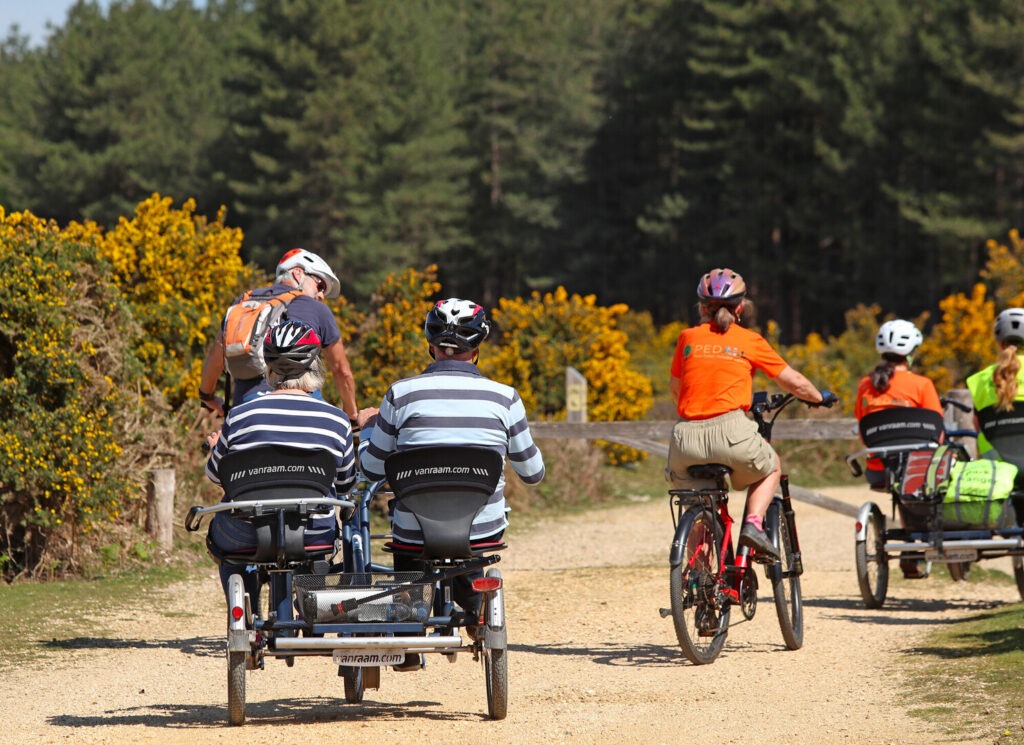 Six cycling on specialist cycles riding on tracks in the New Forest. Trees and gorse can be seen in the background.