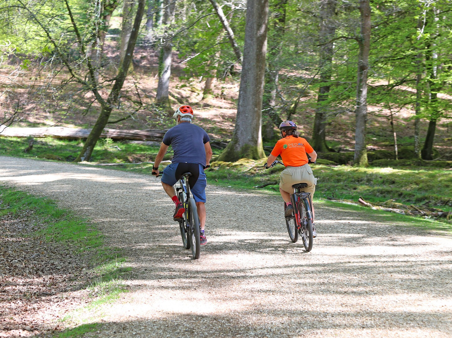 Two cyclists on a New Forest track surrounded by trees.