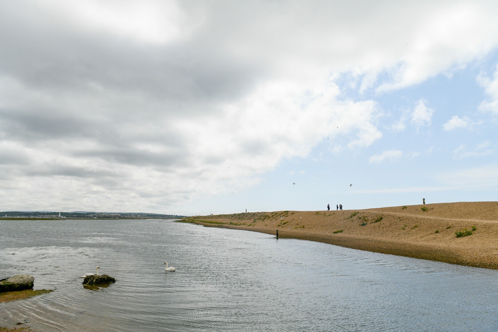 Hurst Spit shingle ridge beside calm water under cloudy sky, with swans in the foreground and small group walking along the ridge