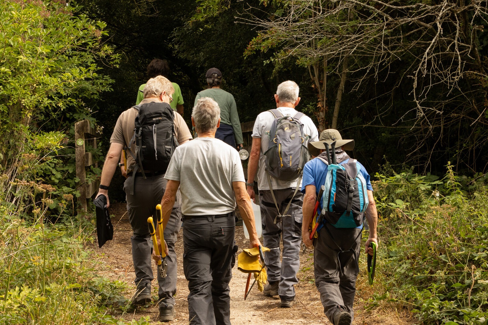 A group of volunteers walk in the woods carrying tools.