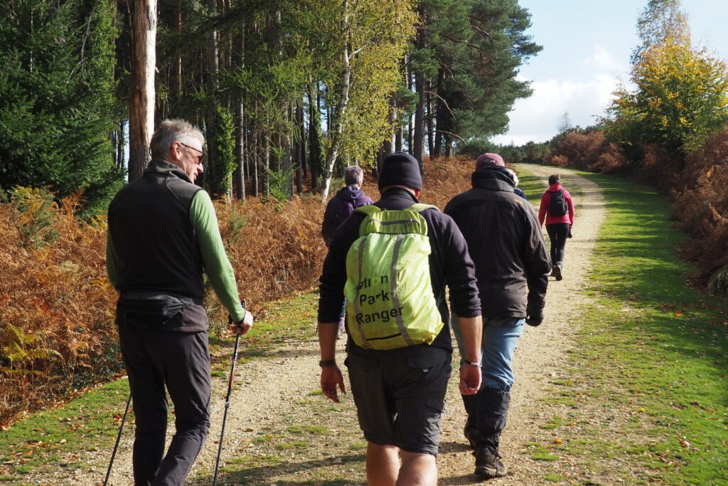 Five people walking uphill on a Forest track. One - closest to the camera - is a New forest NPA ranger wearing a fluorescent yellow bag.