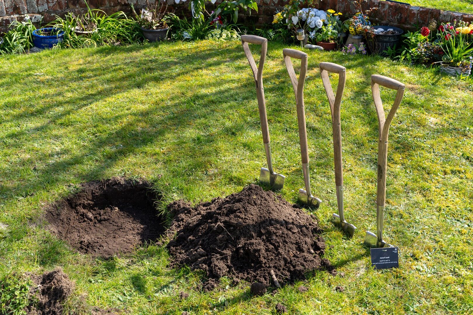 Four spades stand in the grass next to a small hole in the soil.