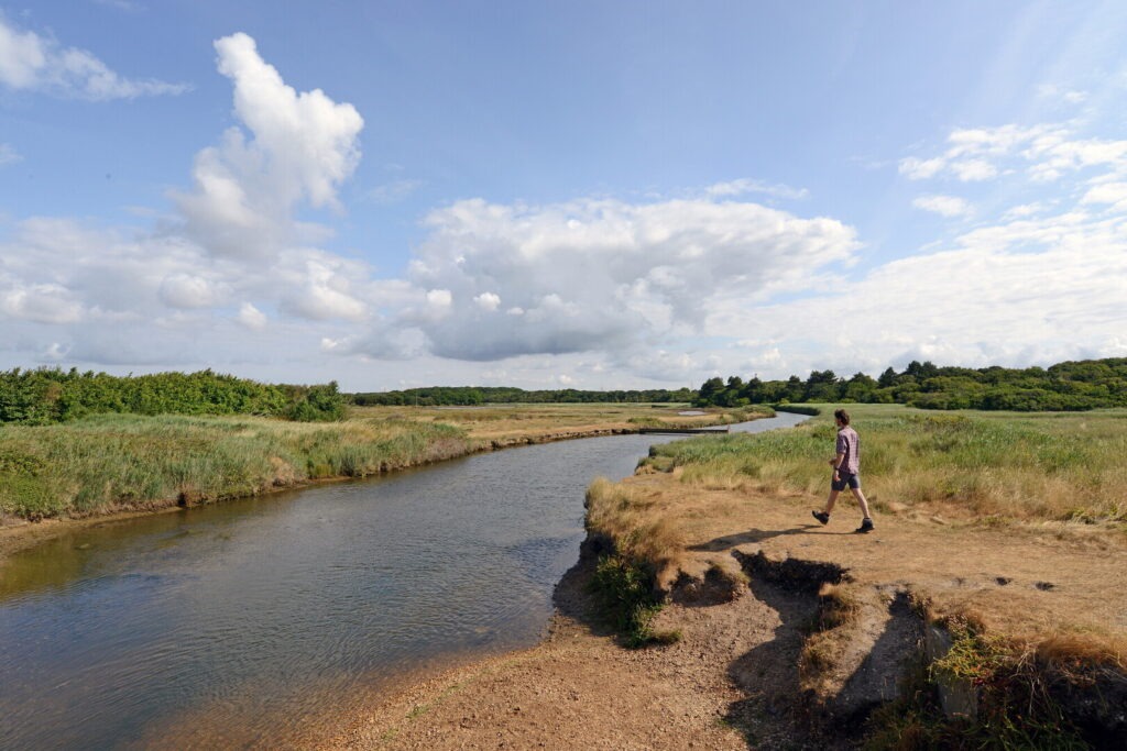 A walker next to a river in the New Forest National Park.