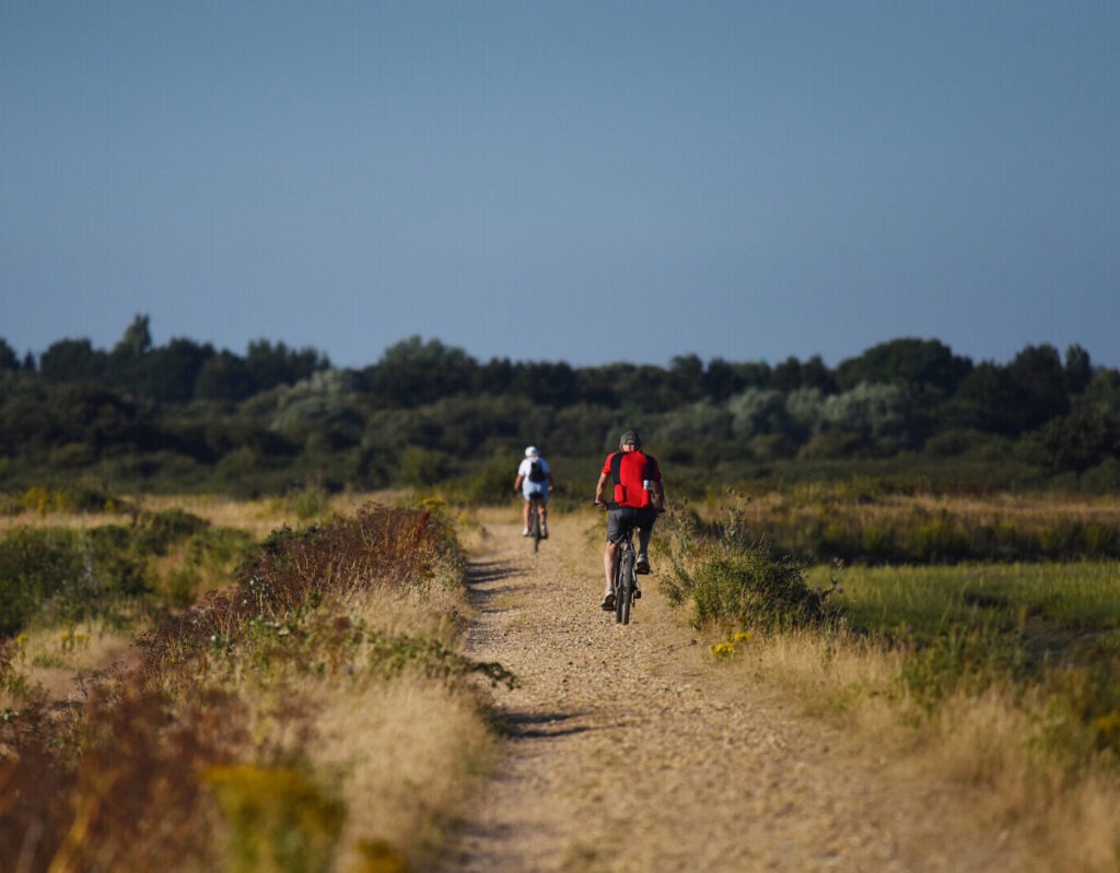 Two cyclists ride along a gravel path through marshland near Keyhaven, with a line of trees in the distance