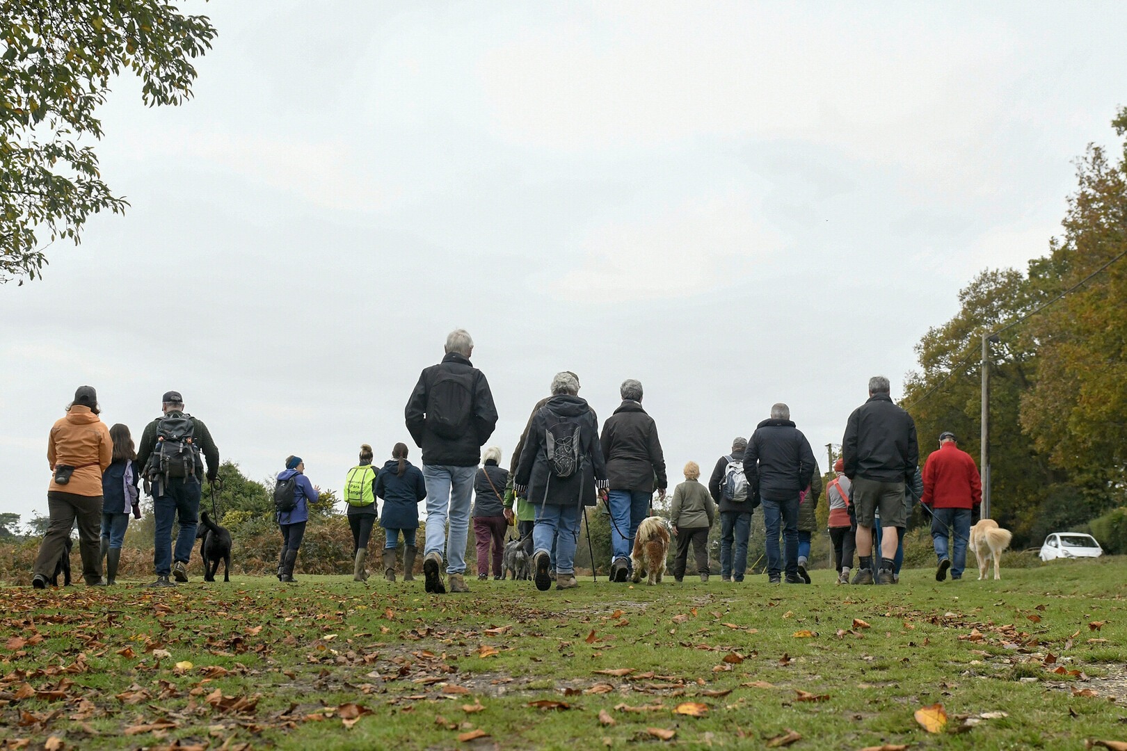 A low angle shot of a group of walkers in the New Forest. The ground is green and grassy with an overcast sky above.