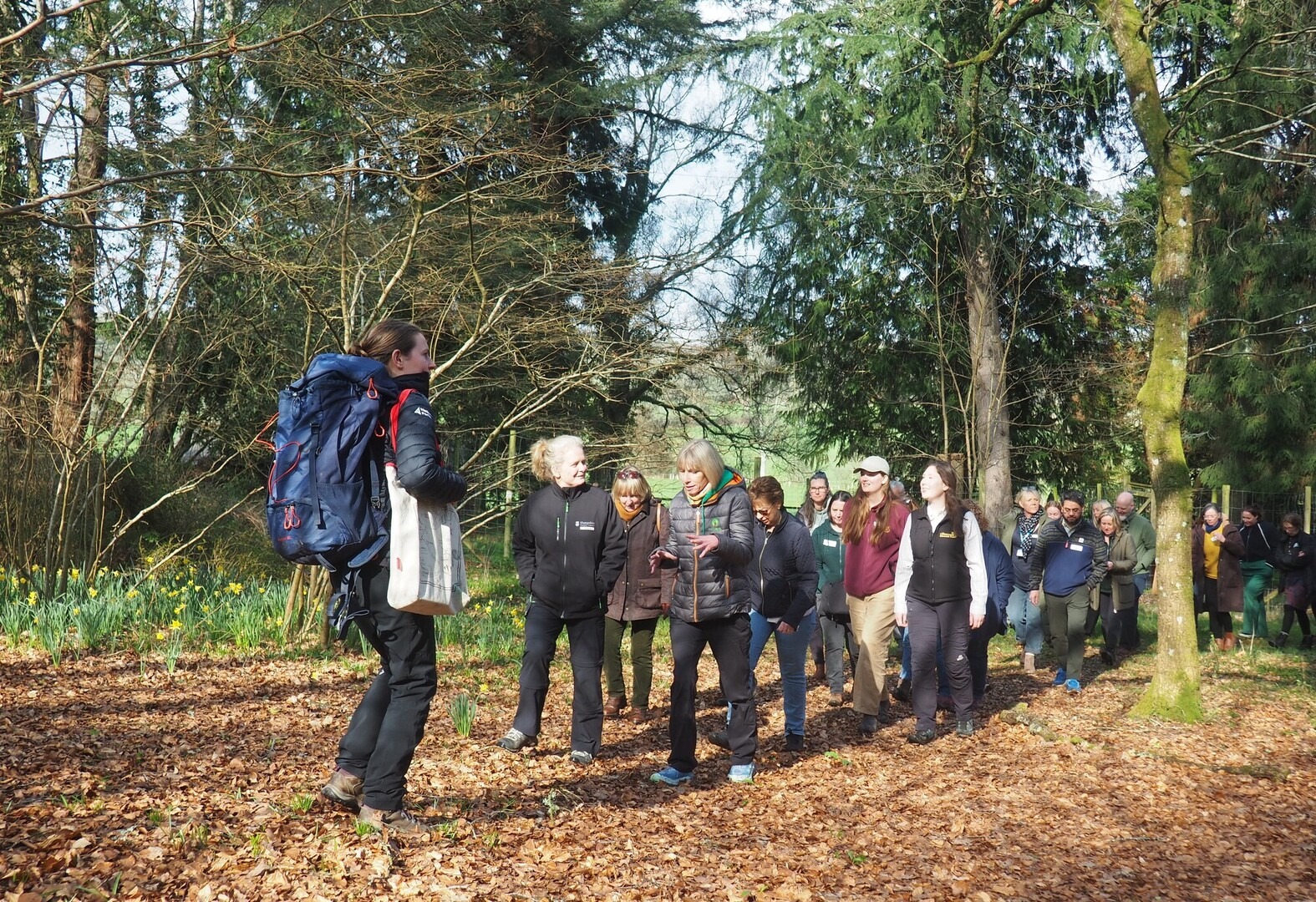 A line of people walking in a wooded area.