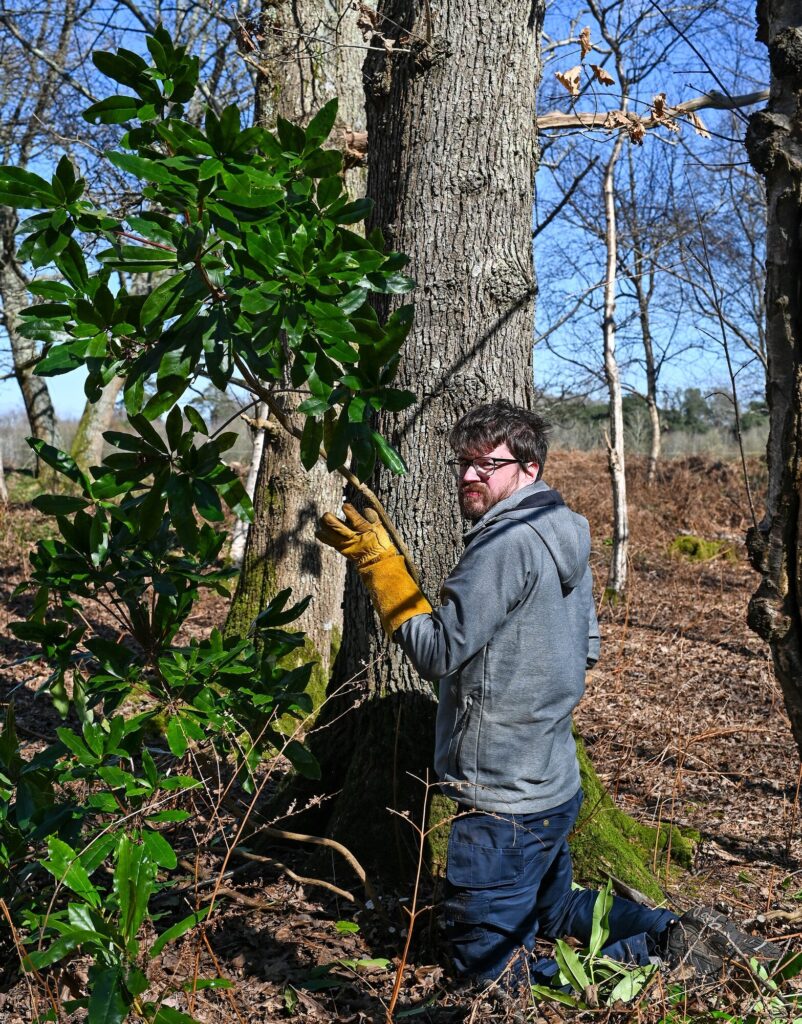New Forest NPA Volunteer and Accessibility Co-ordinator James